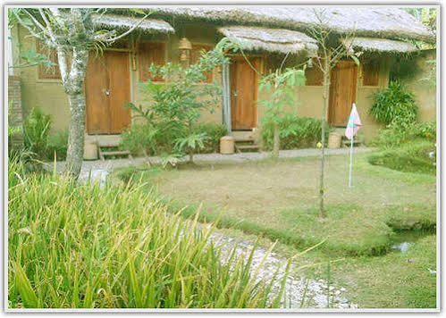 Baleku Homestay Trawangan Джили Трауанган Екстериор снимка